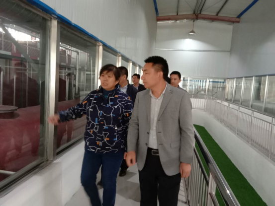 22泰安市人大副主任王淑玲到泰安分公司考察指导.png